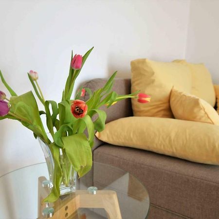 Apartmani Dora Murter Kültér fotó